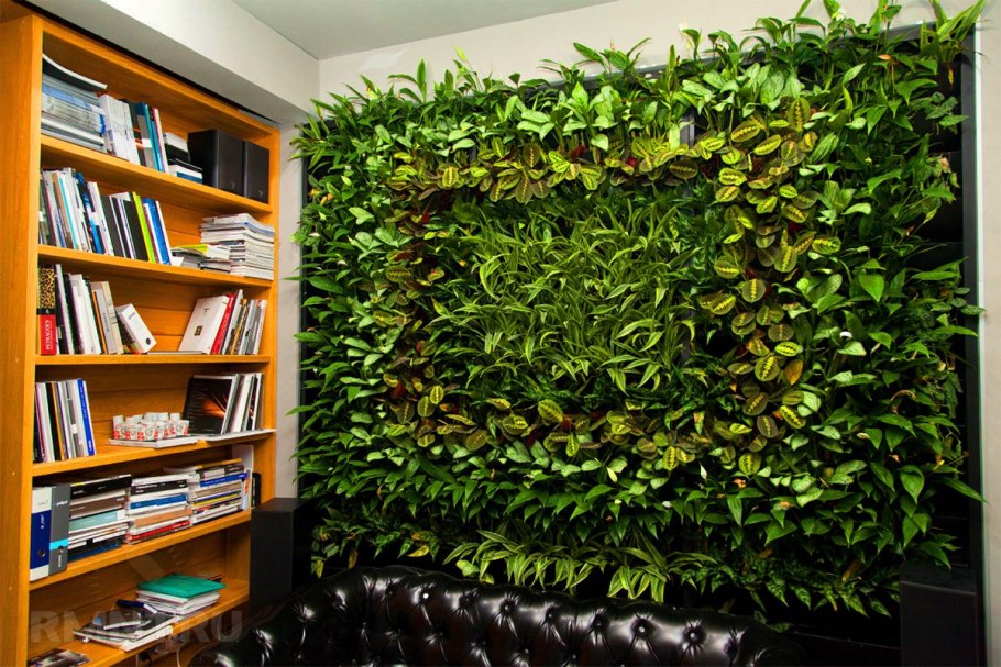 Живые зеленые стены natural Greenwalls