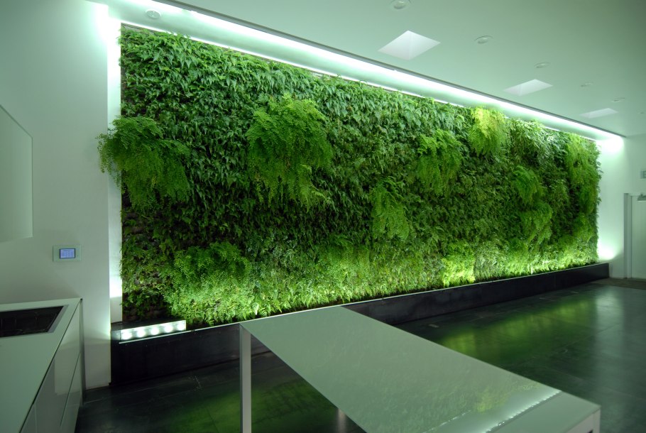 Green Sun фитостены