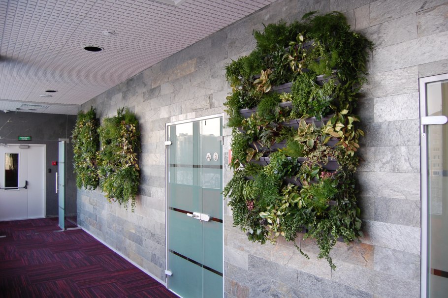 Green Sun фитостены