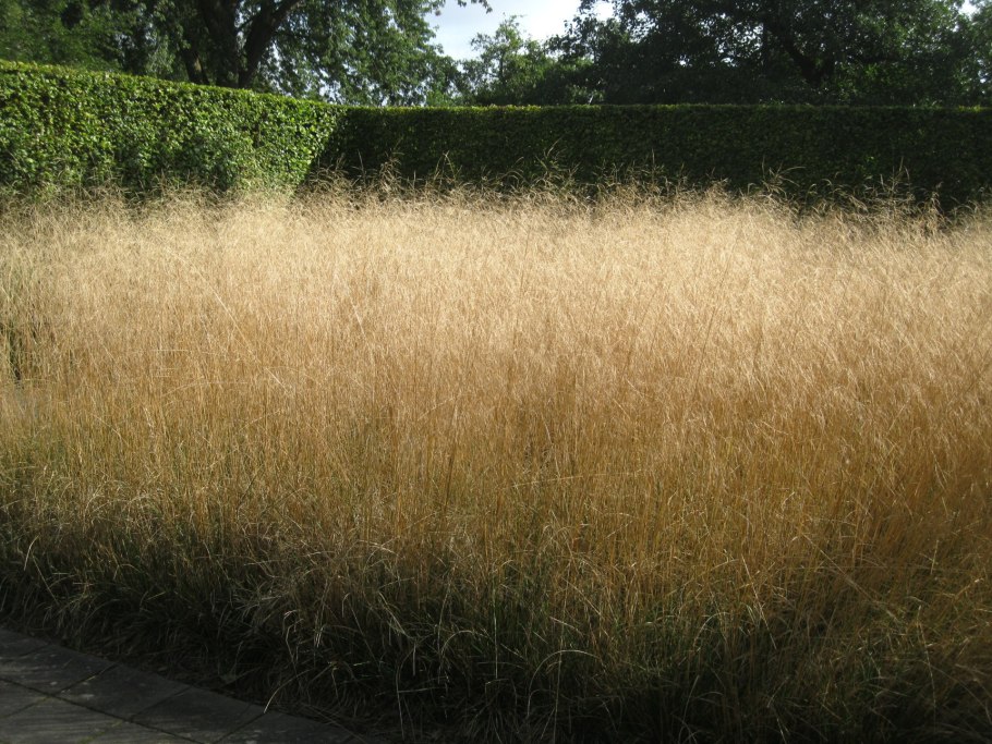 Marianne Majerus Garden images