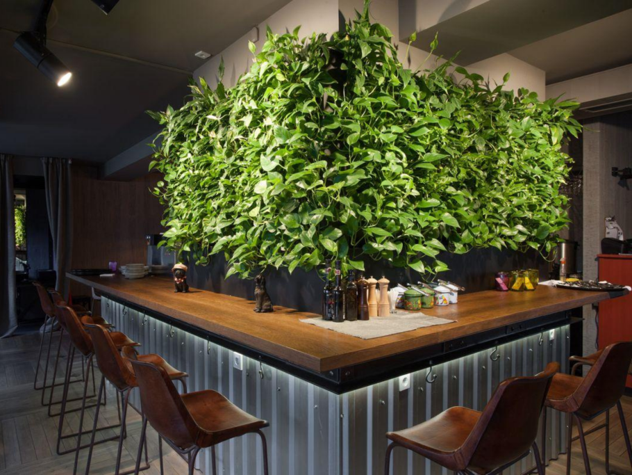 Череповец ресторан фитостена