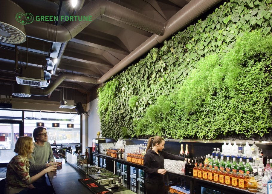 Озеленение кафе и ресторанов