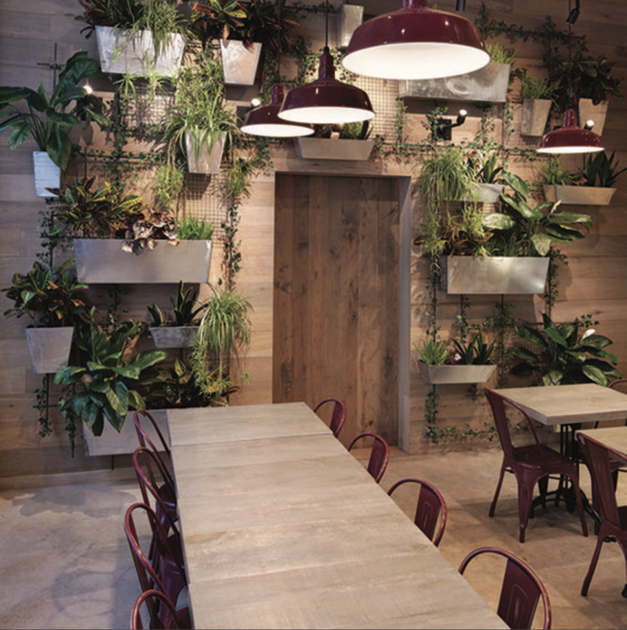 Интерьер кафе с растениями