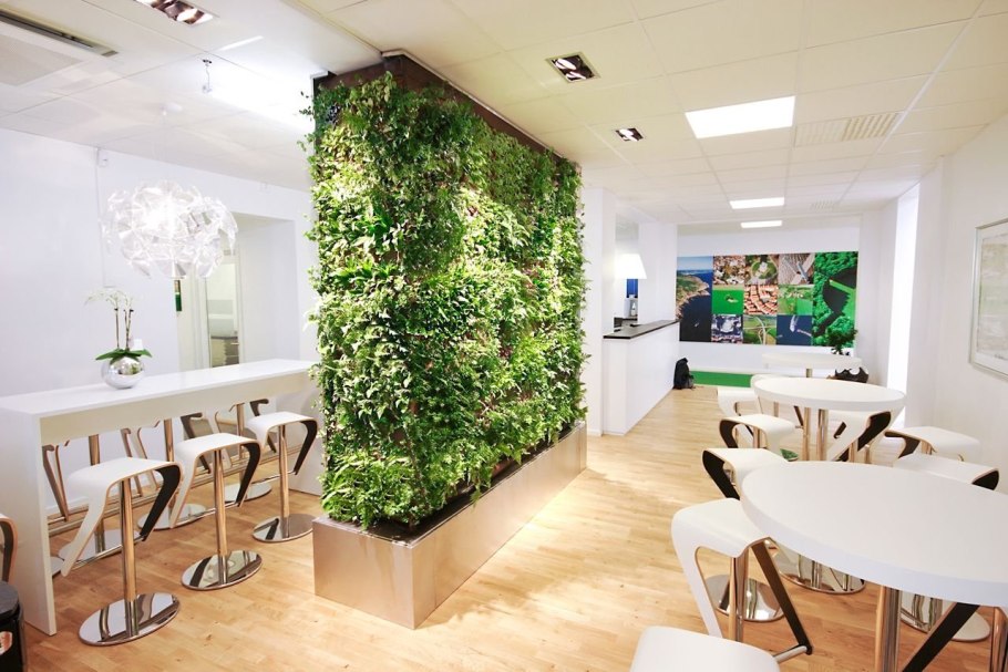 Перегородка для зонирования с растениями