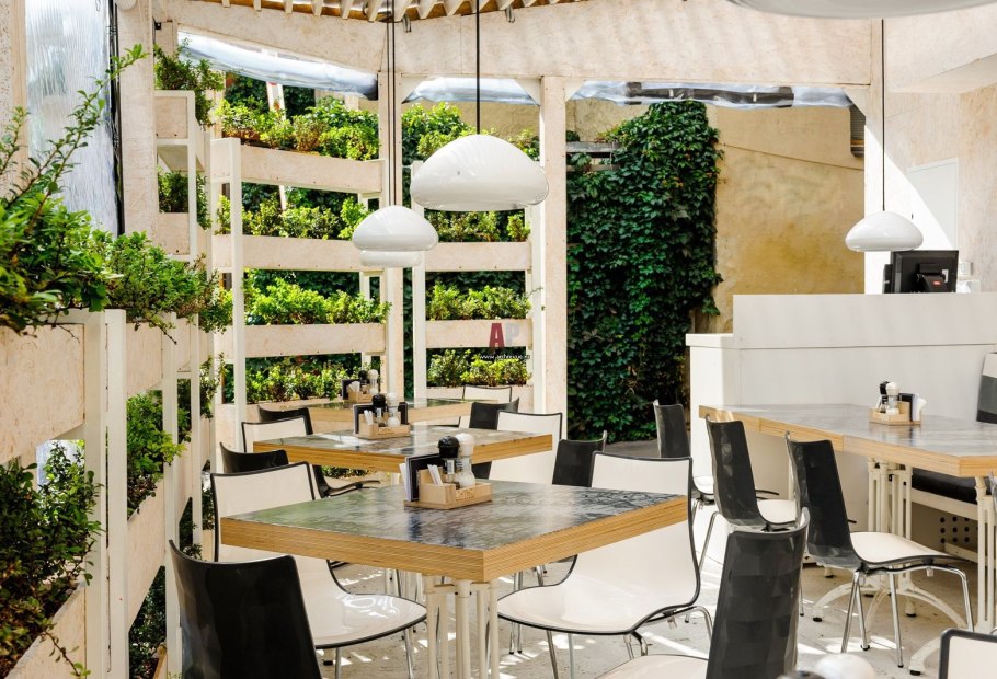 Озеленение летнего кафе