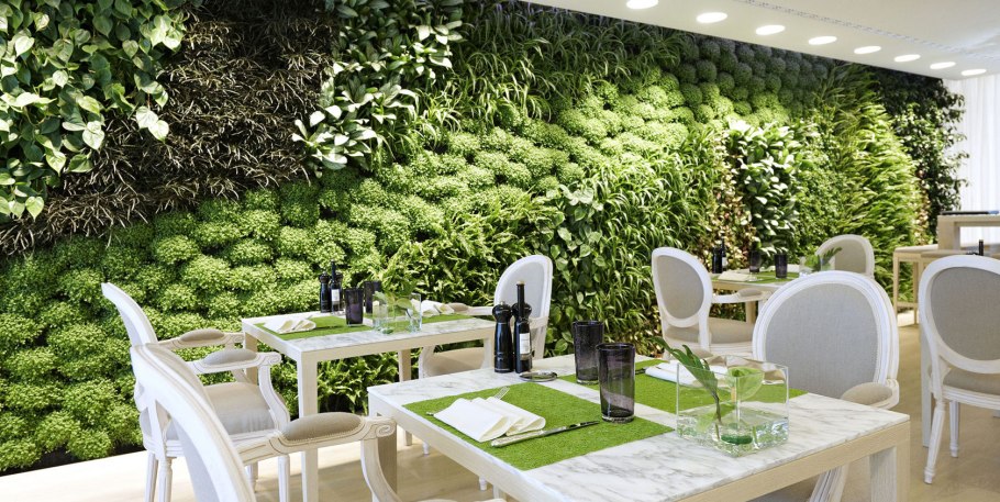 Фитодизайн Озеленение ресторана и кафе