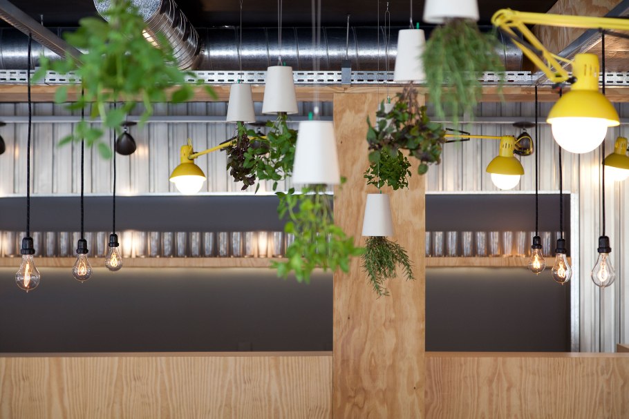 Зелень в интерьере кафе