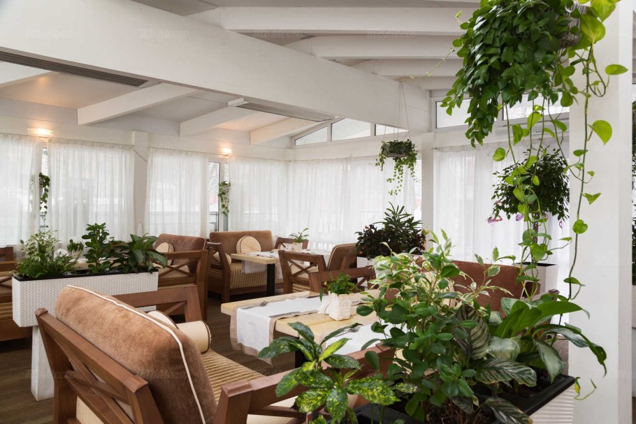 Растения в интерьере ресторана