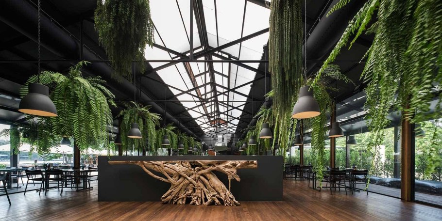 Озеленение кафе и ресторанов