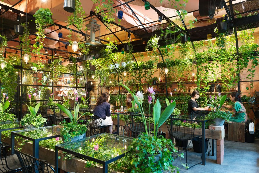 Цветочная Лавка оранжерея СПБ