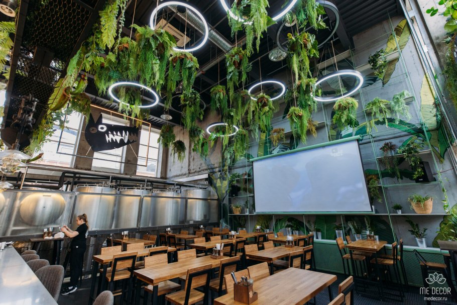 Озеленение кафе и ресторанов