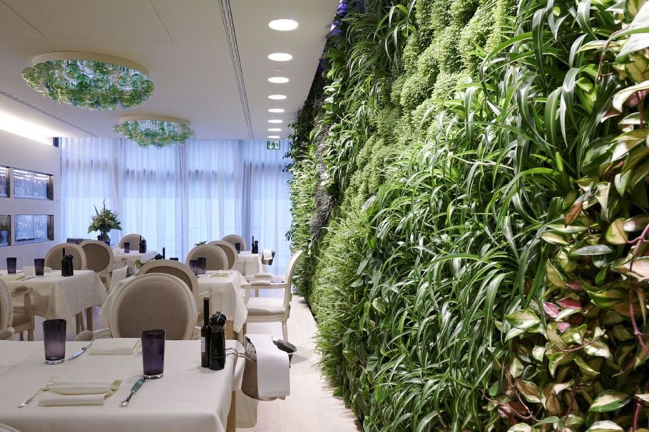 Растения в интерьере ресторана