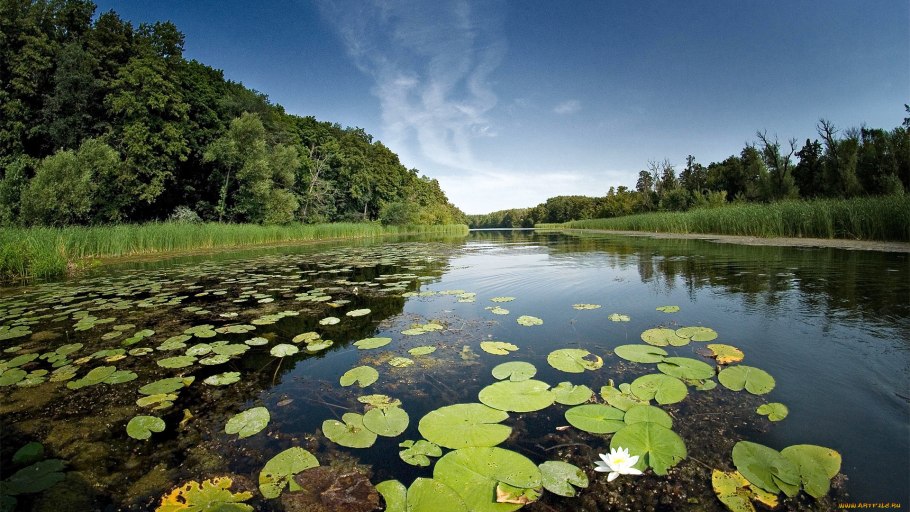 Природный заповедник Воронинский Тамбовская область