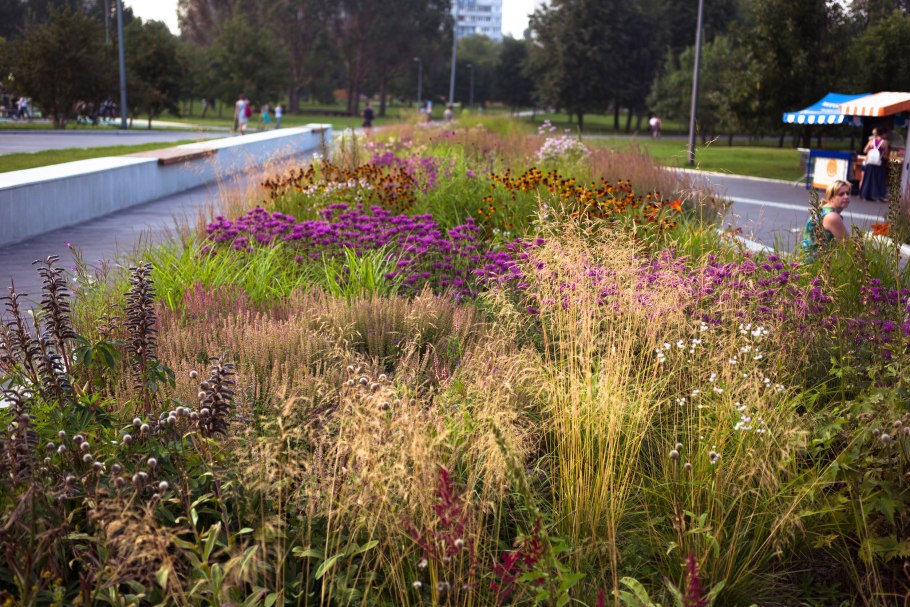 Парк «Садовники» Озеленение