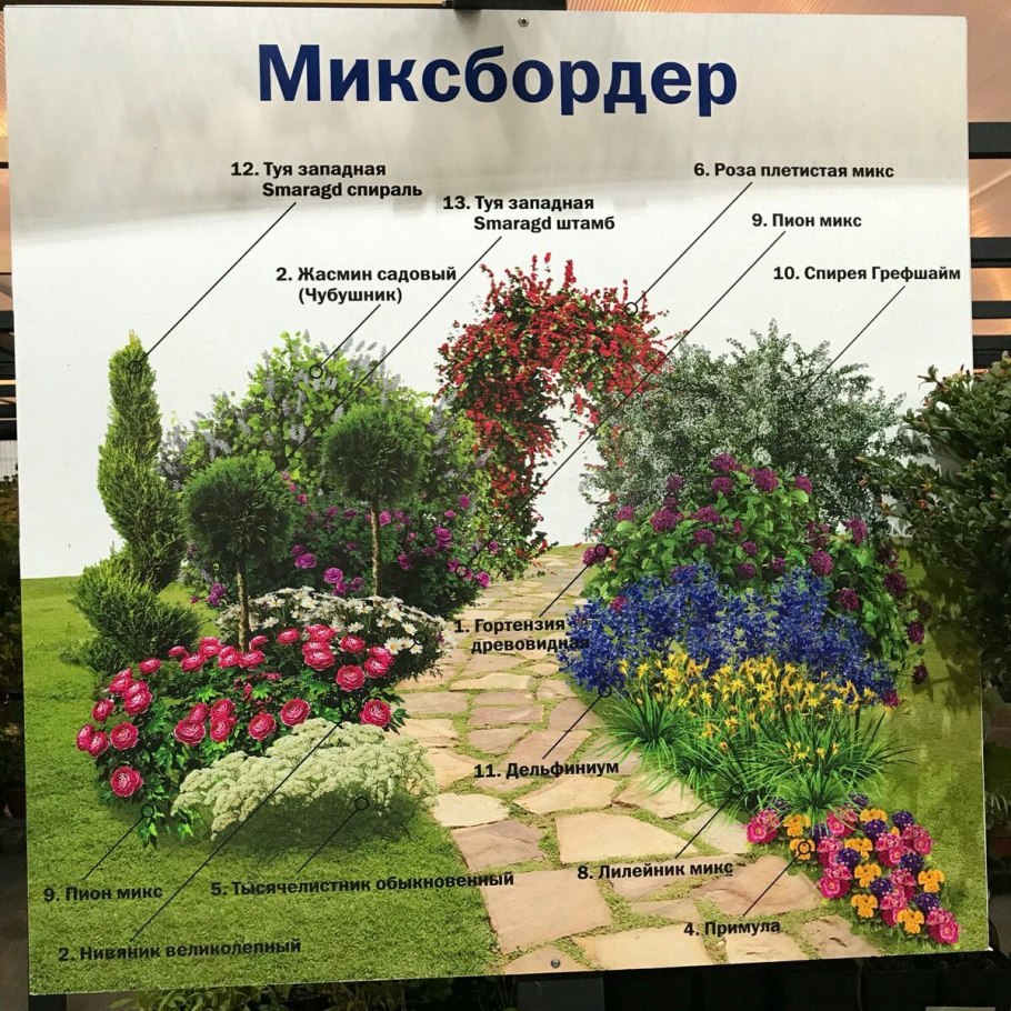 Схема цветника миксбордера