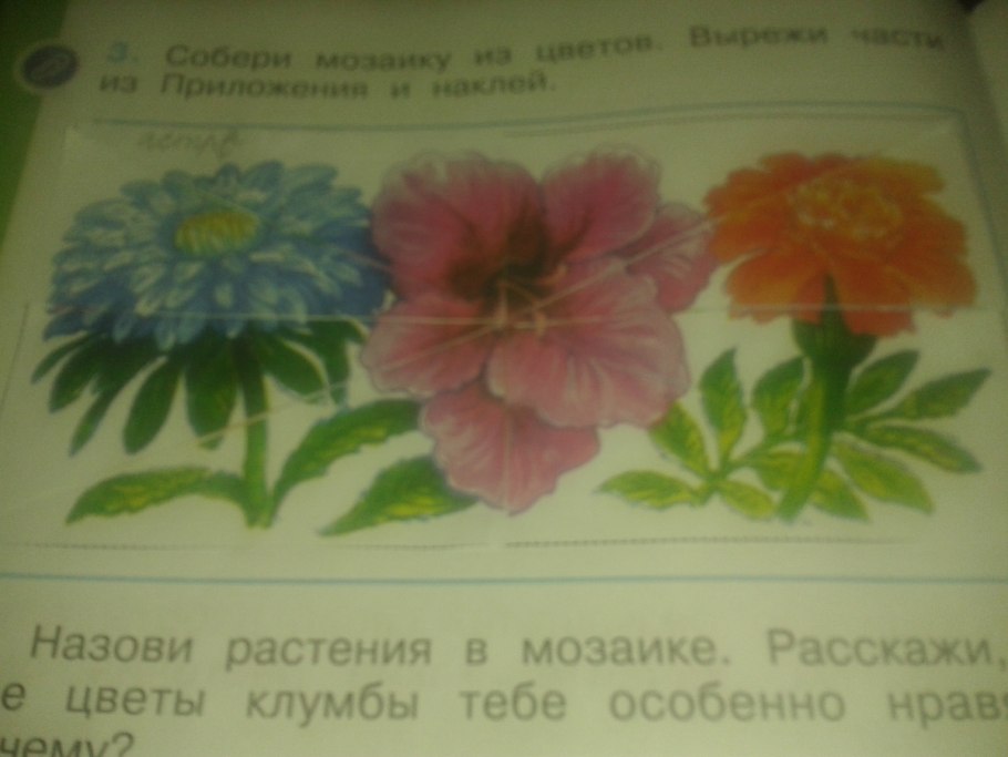 Цветник со списком растений