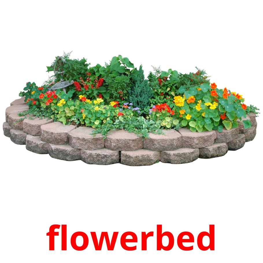 Миксбордер из хвойных и многолетников схемы