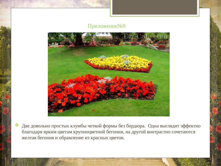 Миксбордер с розами схема