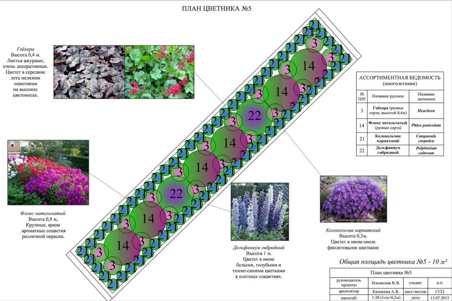 Цветник с лилейниками и флоксами схема