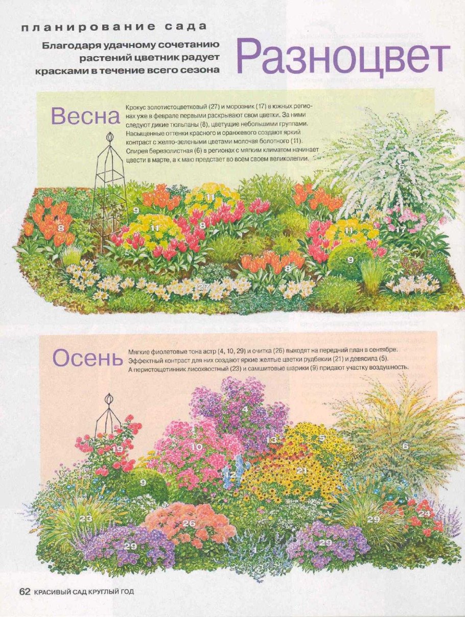 Гиацинты в кёкенхоф