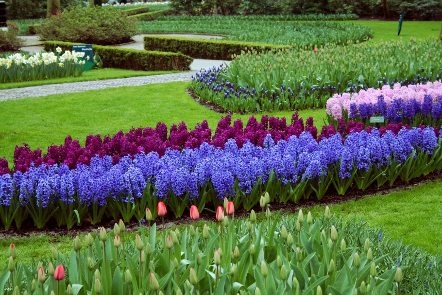 Миксбордер в перспективе