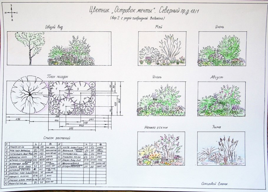 Схема посадки древесно кустарниковых растений
