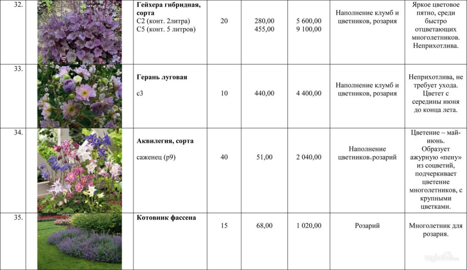 Буклет цветников