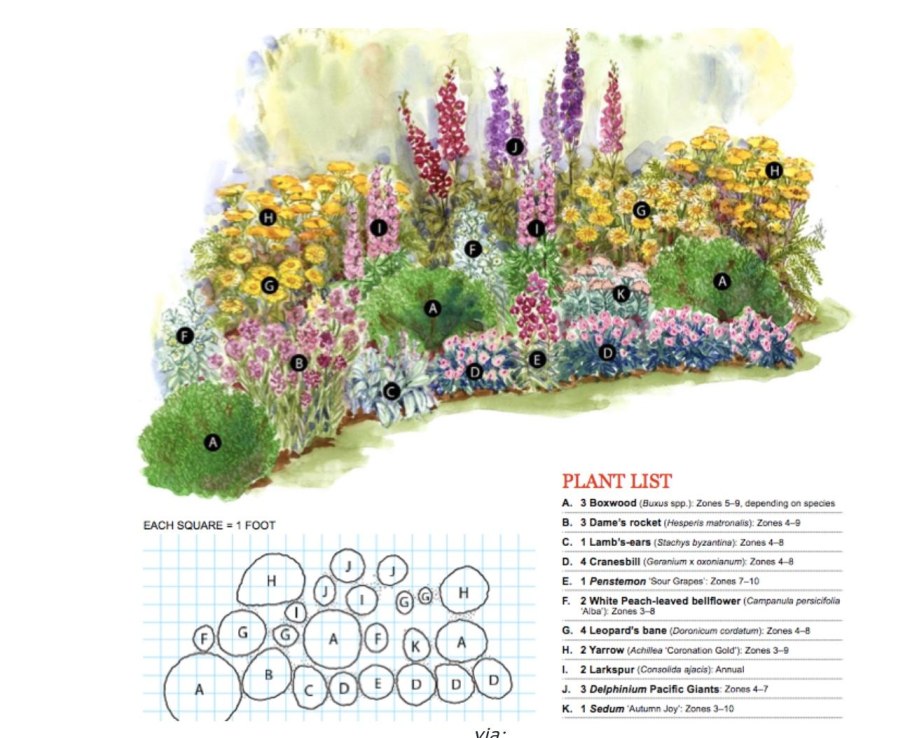 Цветник непрерывного цветения из многолетников схема