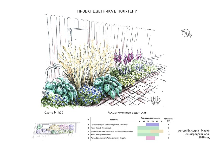 Миксбордеры с хвойниками схемы