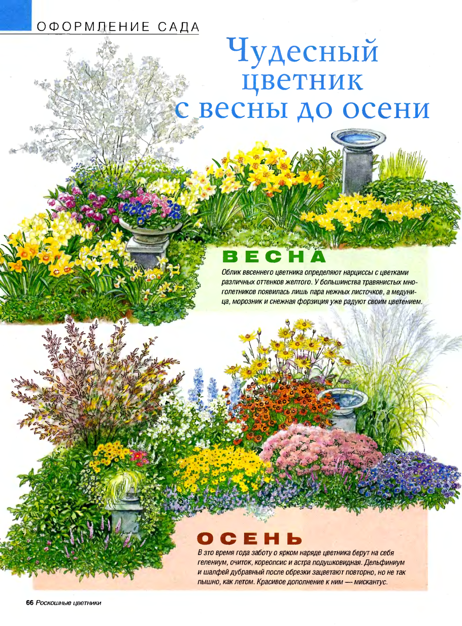 Технология устройства цветников