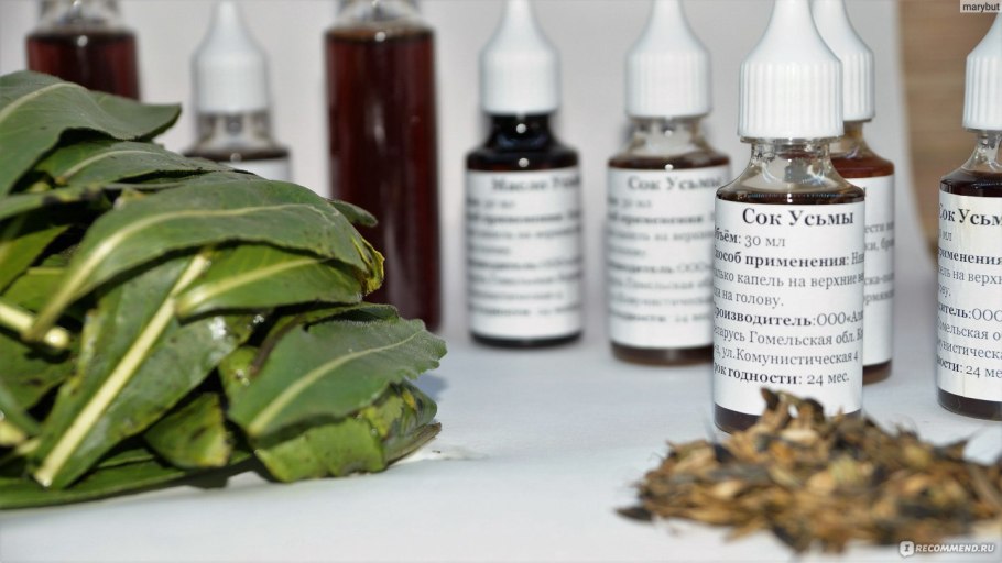 Вайда ребристая