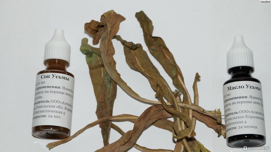 Вайда красильная семена