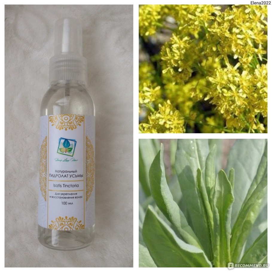 Вайда красильная семена