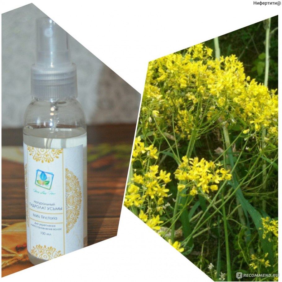 Гидролат листа усьмы Isatis tinctoria