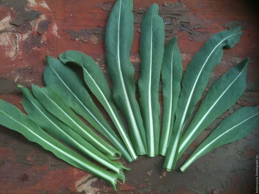 Масло усьмы для бровей и ресниц