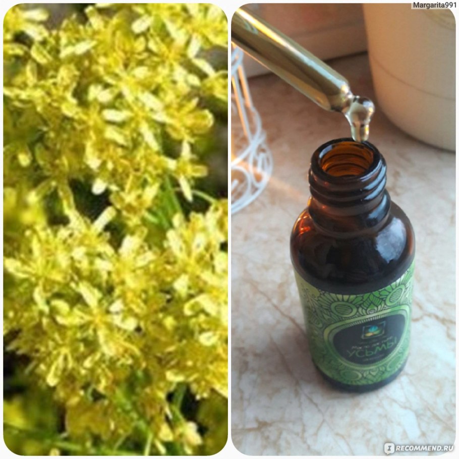 Вайда жёлтый цветок