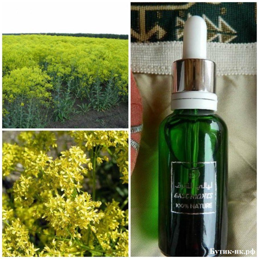 Гулявник руккола