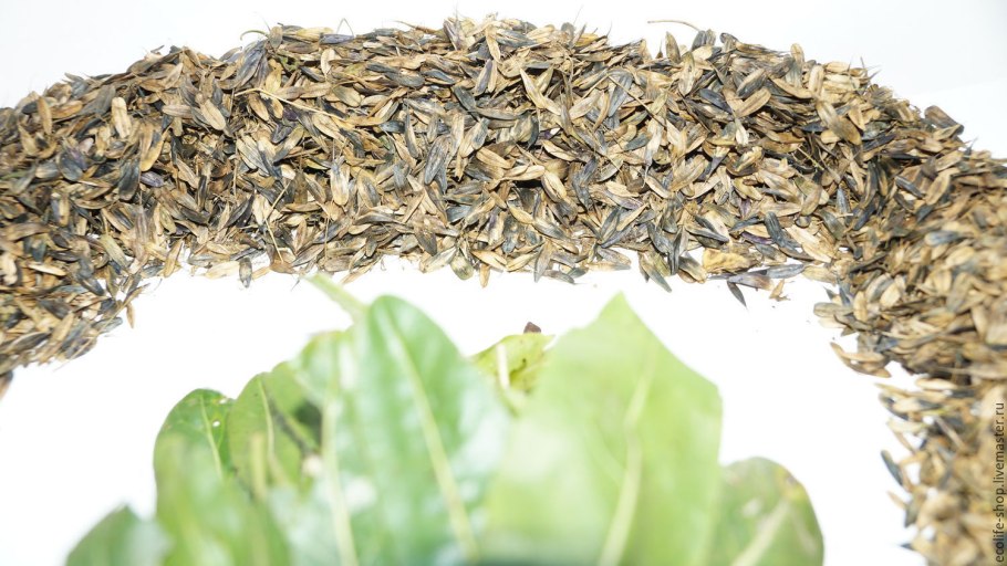 Листья усьмы