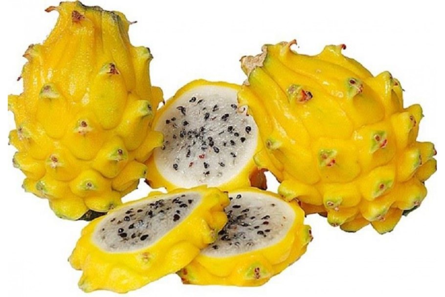 Питахайя желтая