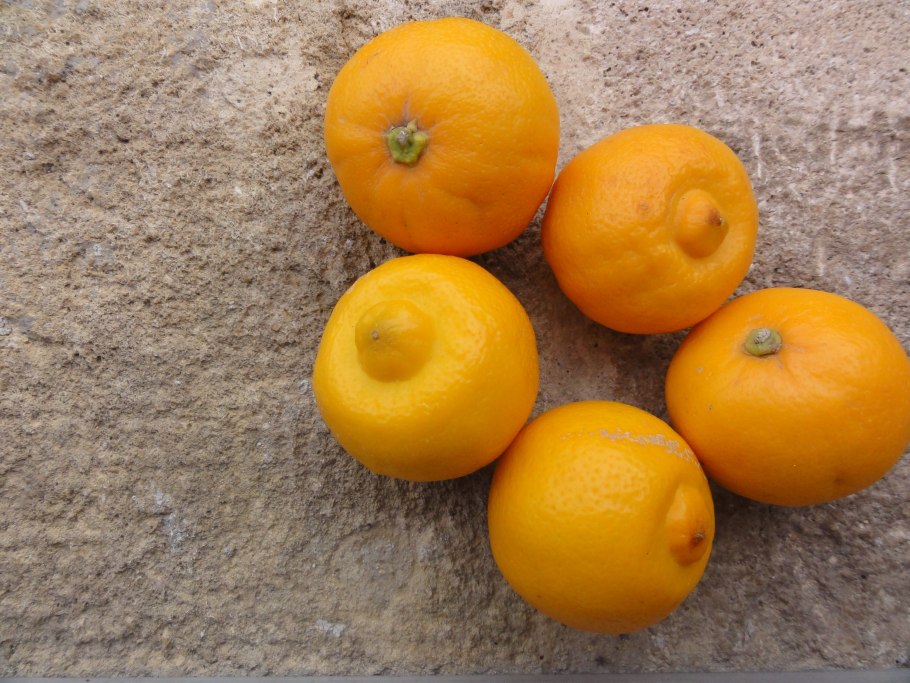 Маленький фрукт похожий на мандарин