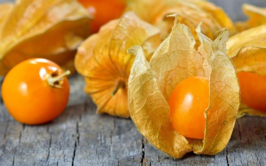 Физалис Земляничный