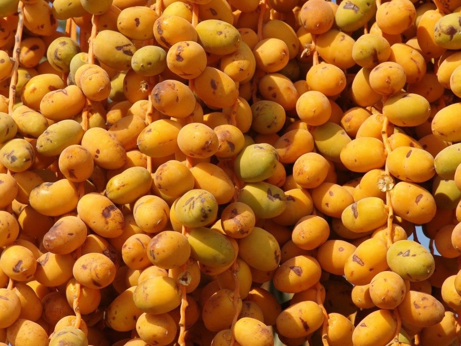 Мушмула и кумкват