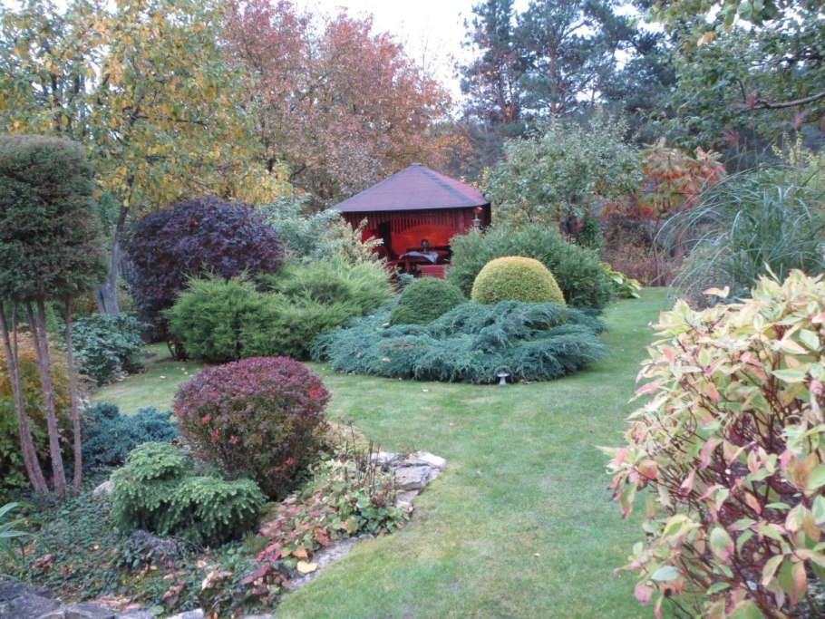 Клумба можжевельник Барбарис пузыреплодник дерен