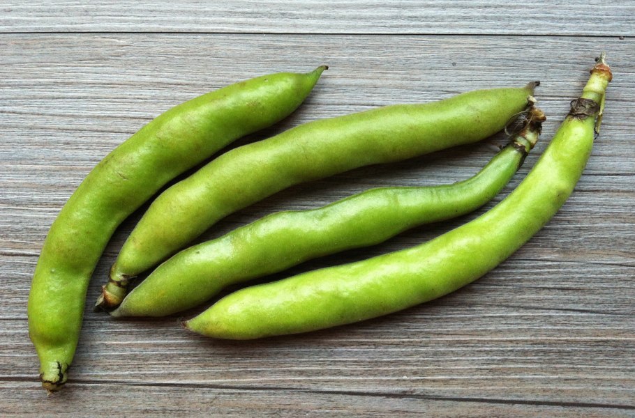 Фасоль обыкновенная в стручках