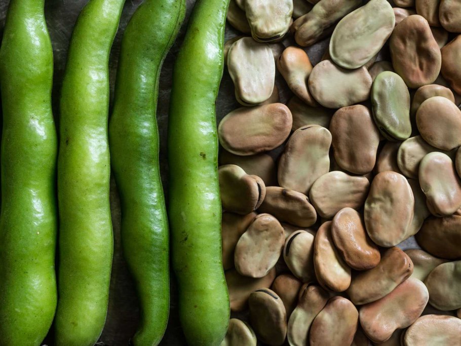 Фасоль Фава