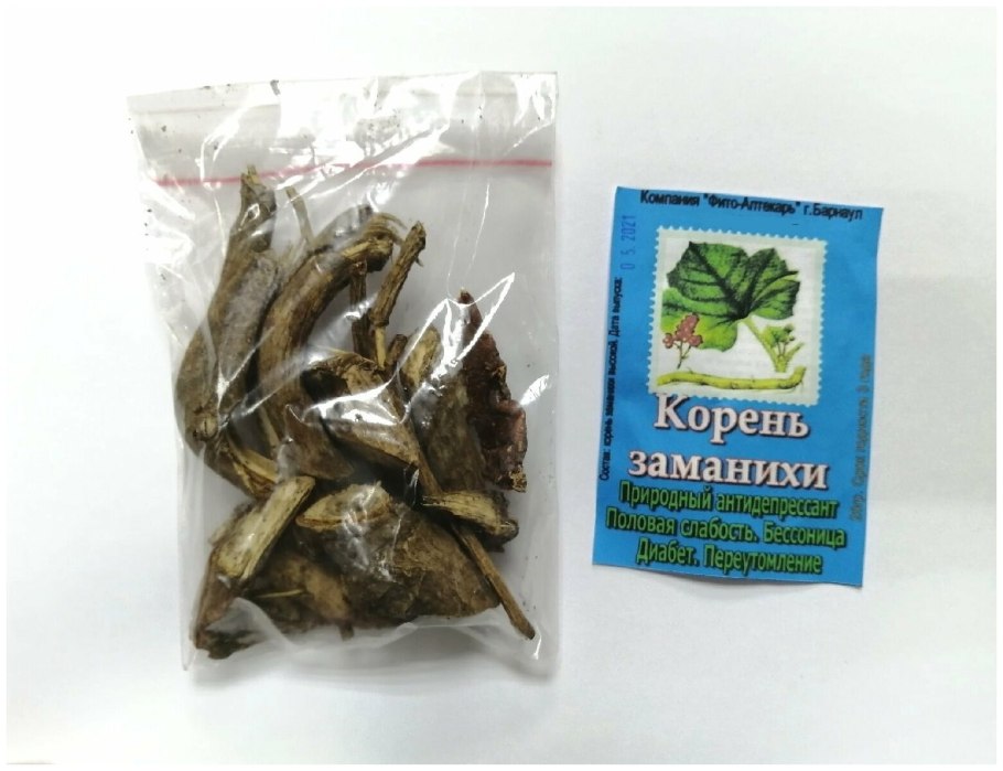 Заманиха высокая Ботаническая иллюстрация