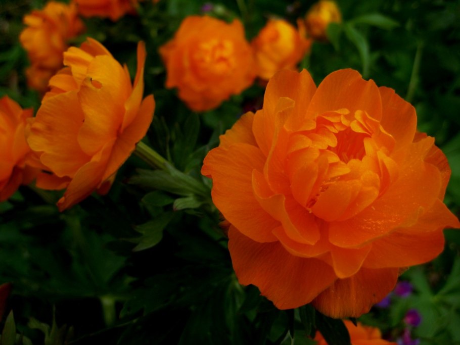 Цветы огоньки искусственные