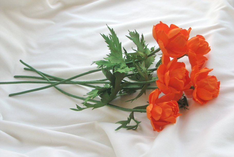 Кокан Куль цветок-огонек