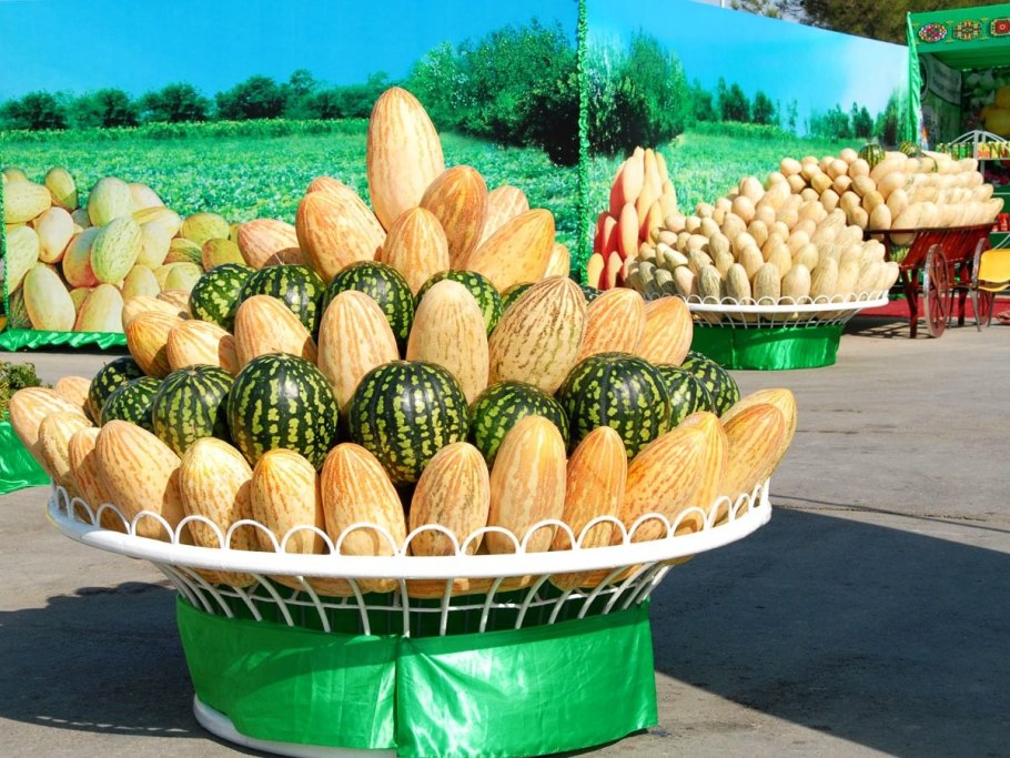 Актинидия киви плантация