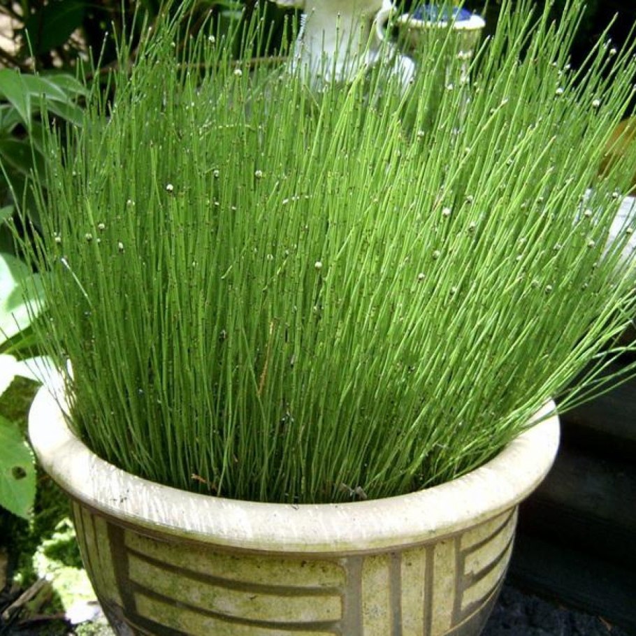 Fejka трава икеа